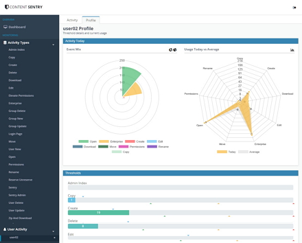 File Activity Report